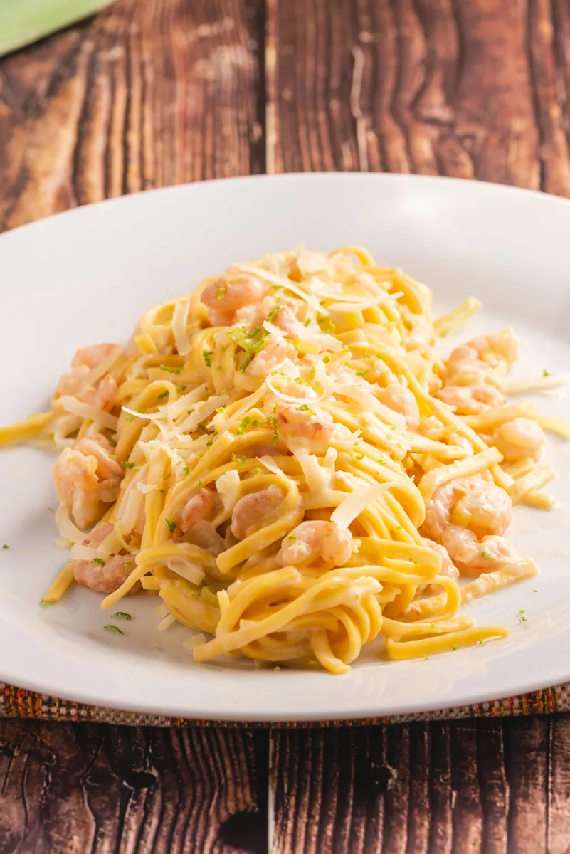 closeup image of a shrimp and leeks pasta
