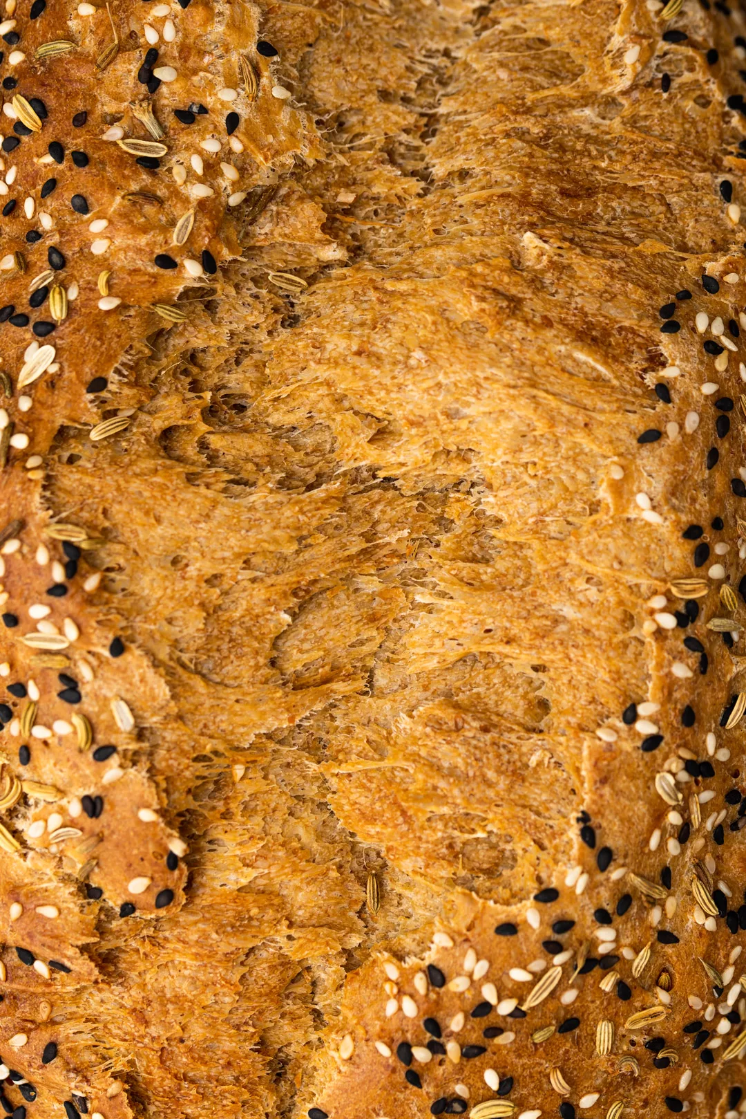 closeup shot showing the seeded Wholemeal Loaf on a top view