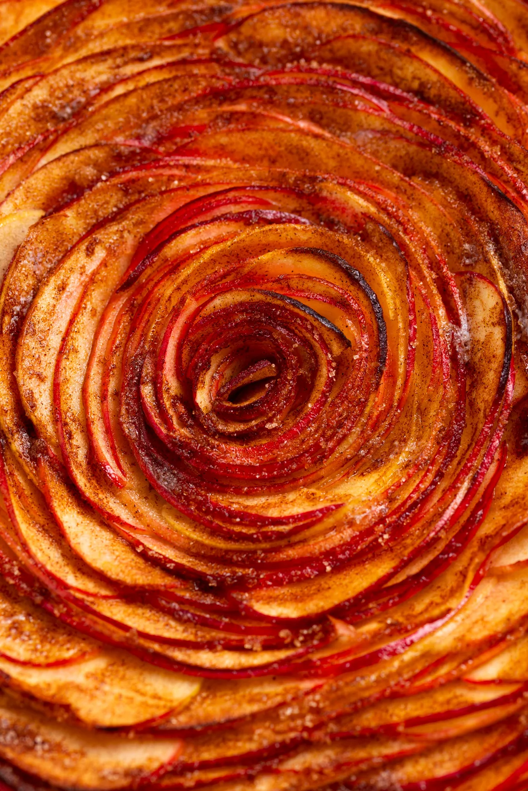 closeup of an apple rose tart